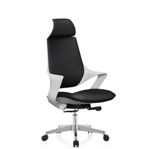 Ergonomic Mesh Chairs