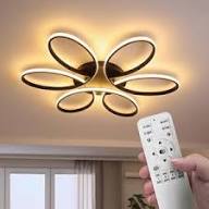 Light with Fan